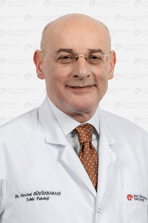 Prof. Dr. Nesimi Büyükbabani