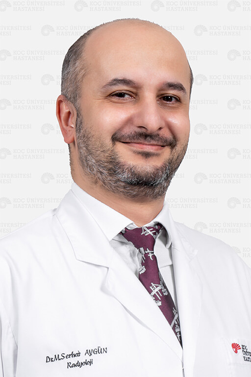 Dr. M. Serhat Aygün